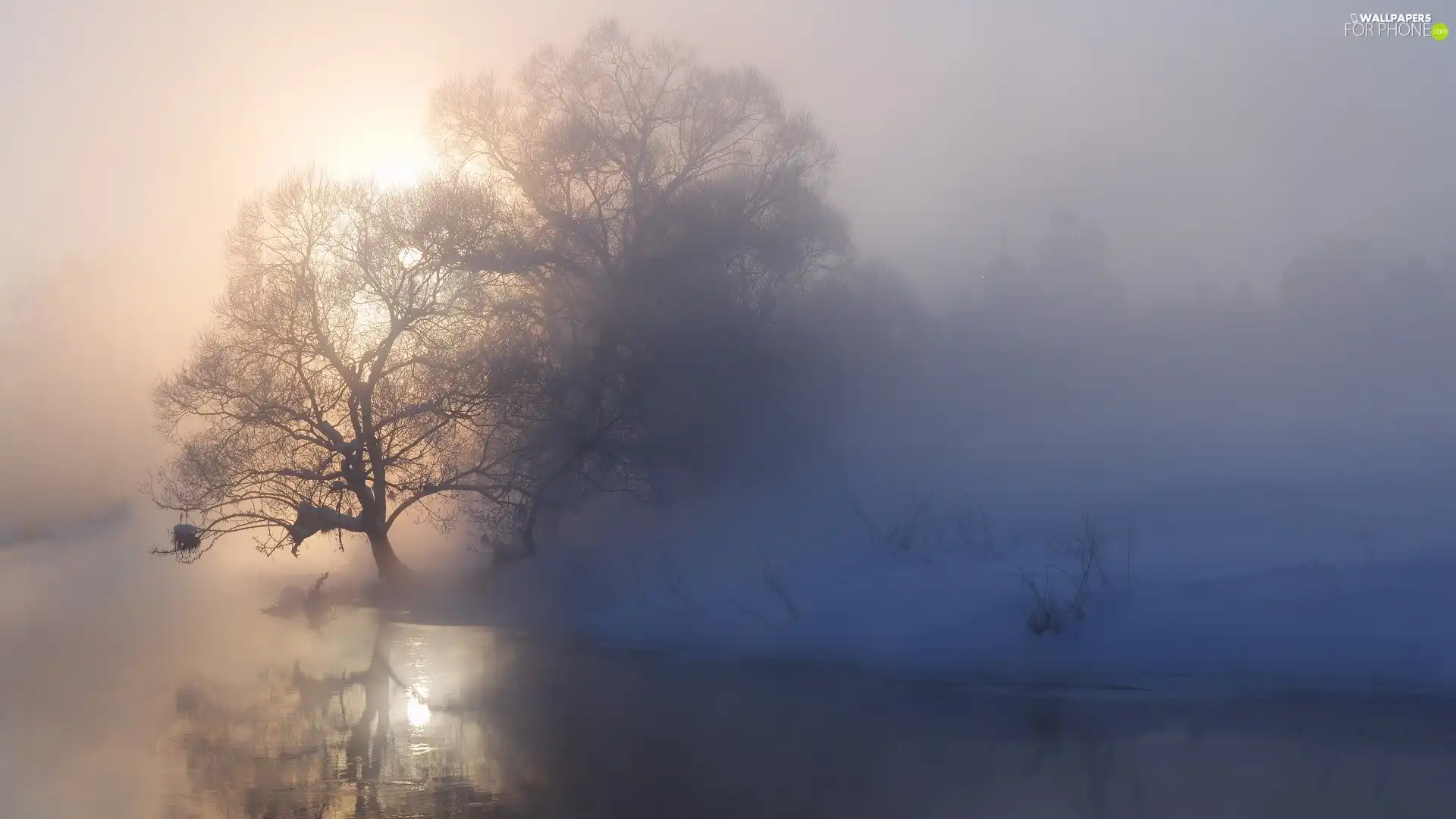 trees, viewes, Orthodox Church, Sunrise, outline, River, winter, Fog