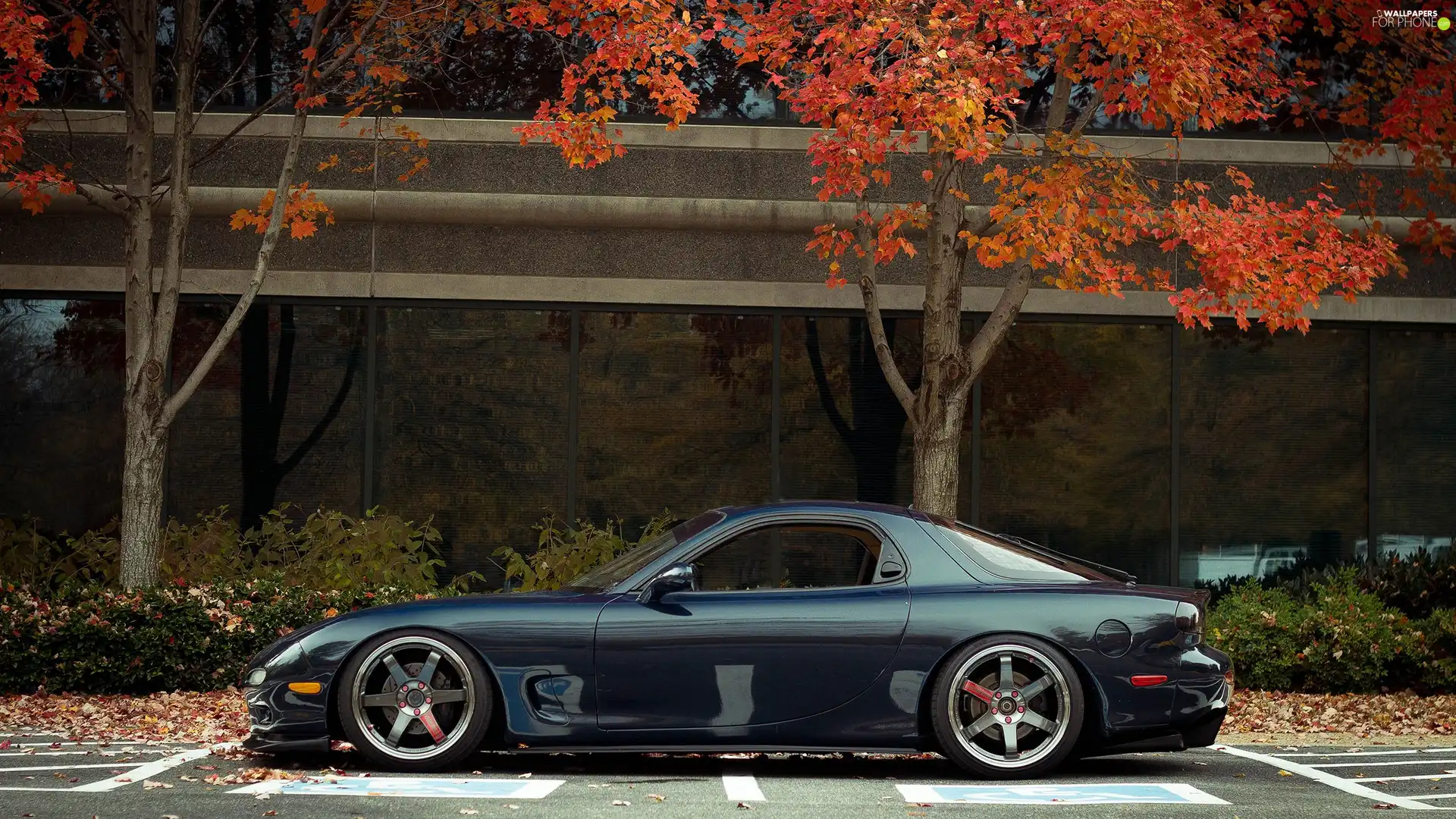 trees, viewes, Rx-7, parking, Mazda