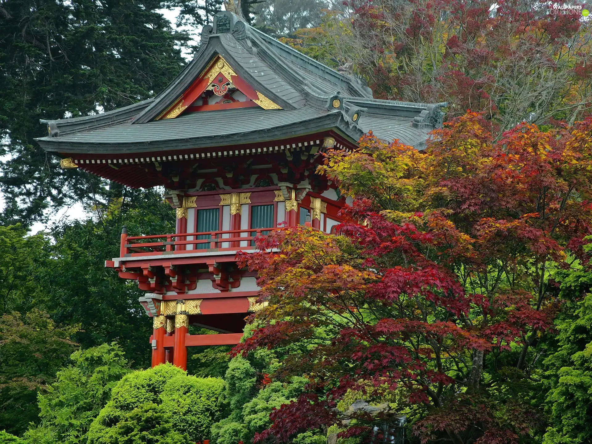 decorating, house, trees, viewes, Japan, Golden