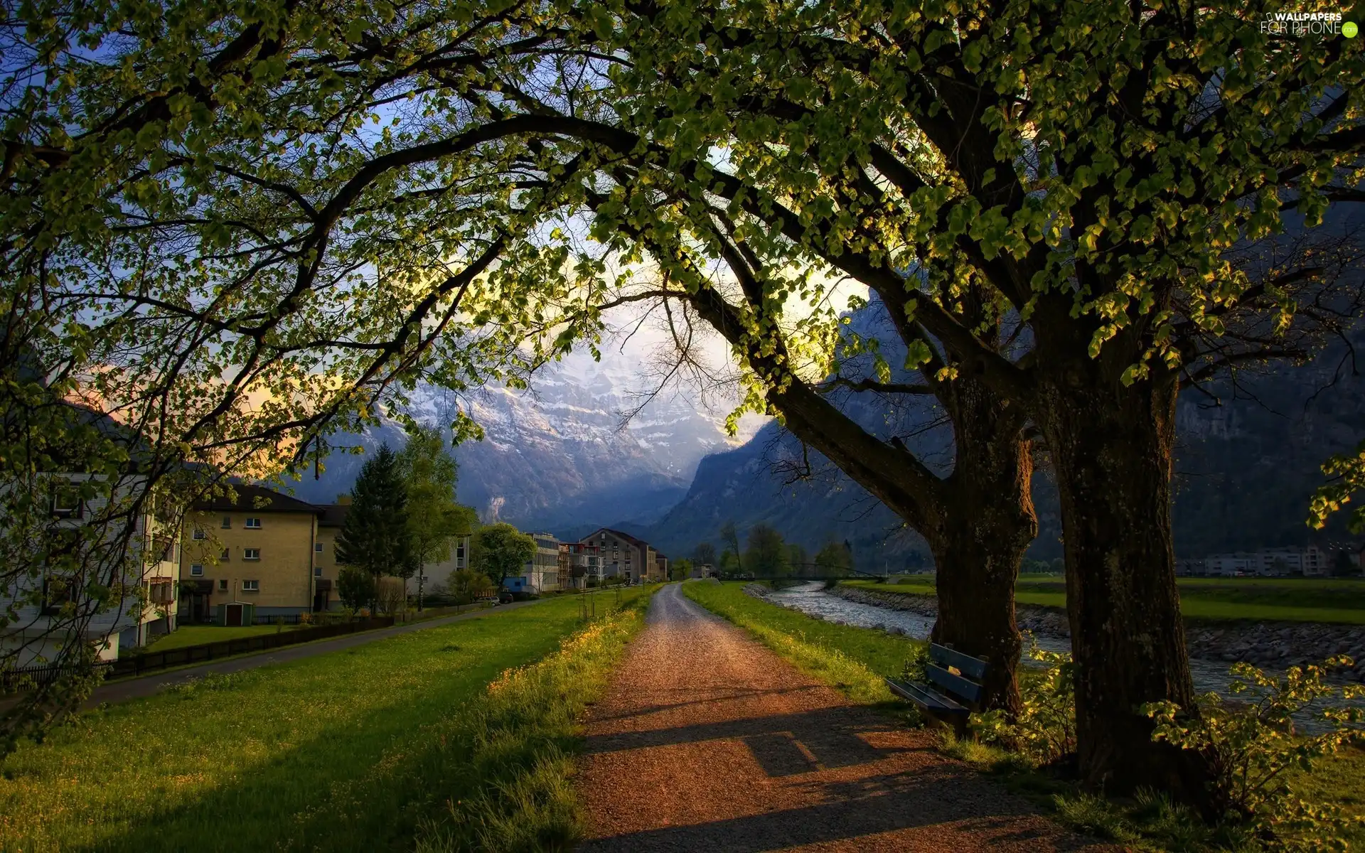 trees, viewes, Way, buildings, Mountains