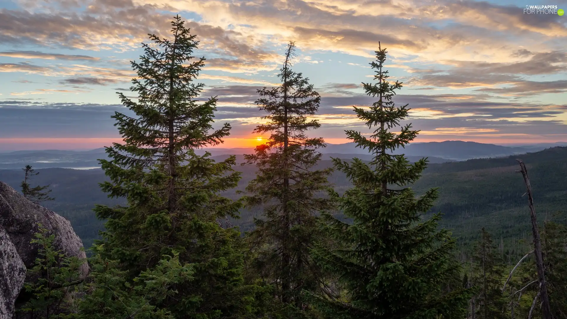 trees, viewes, clouds, Spruces, Great Sunsets, woods, Mountains, rocks