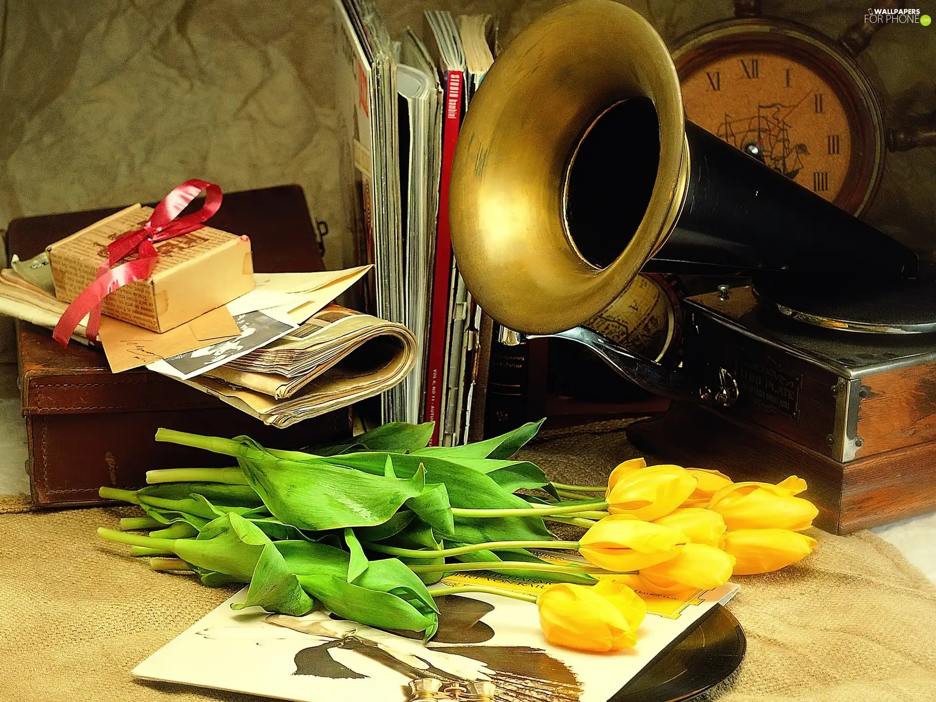 gramophone, Tulips