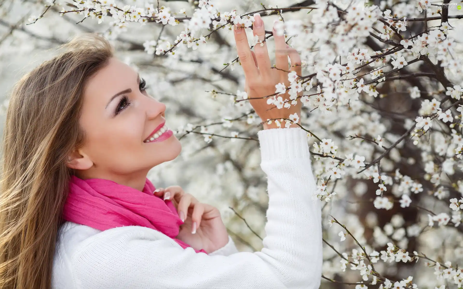 Pink, smiling, Flourished, Twigs, Scarf, Women