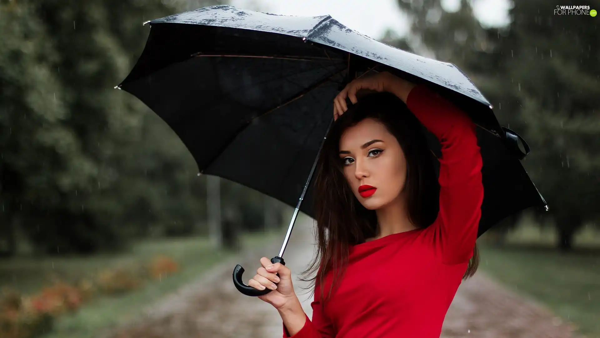 Umbrella, Women, Rain