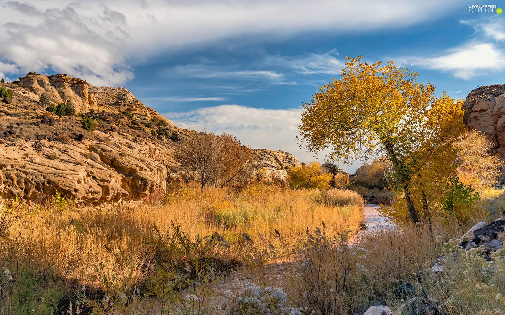 River, autumn, trees, viewes, Utah State, The United States, rocks, Capitol Reef National Park, grass