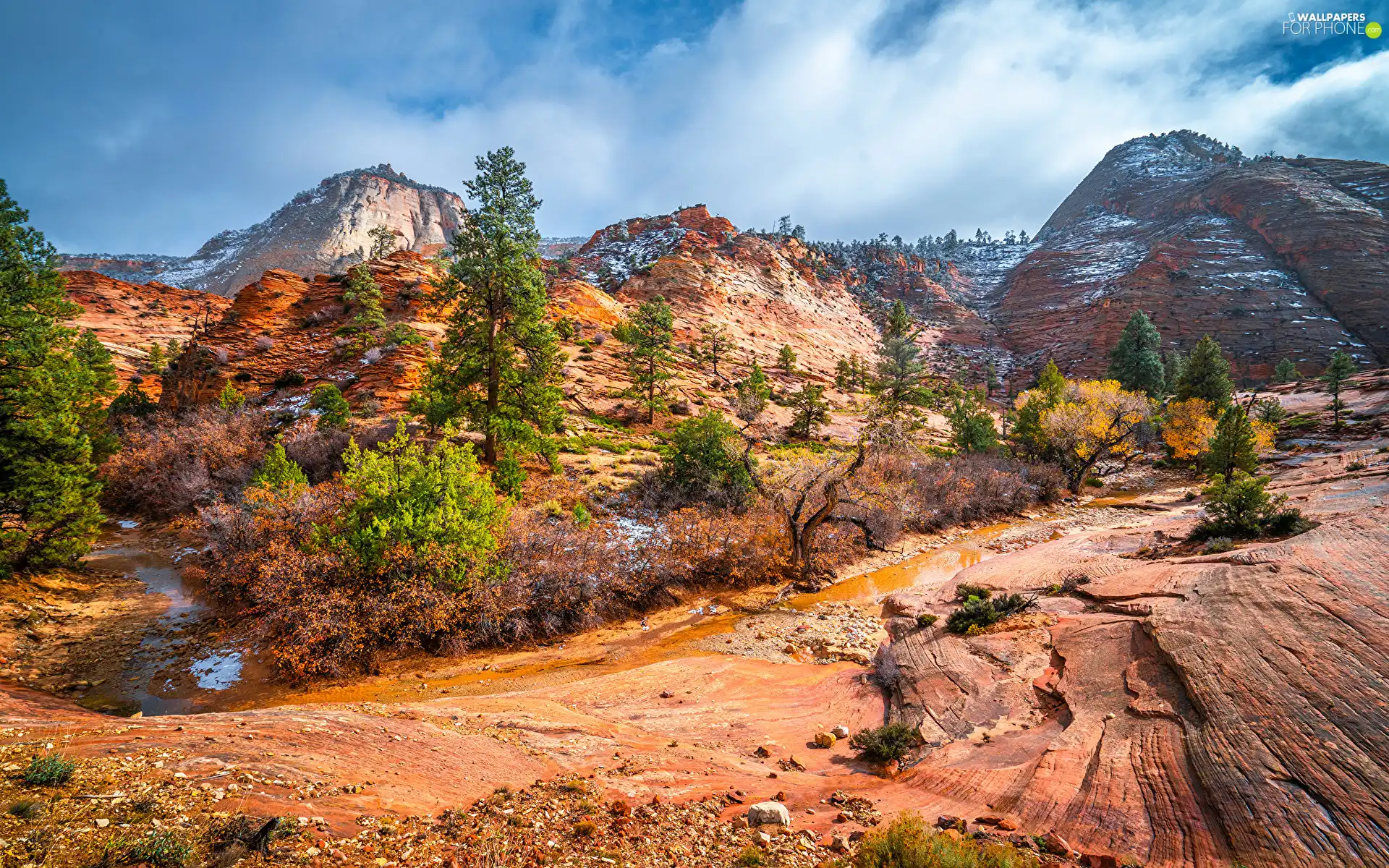 Utah, The United States, Mountains, rocks, Zion National Park