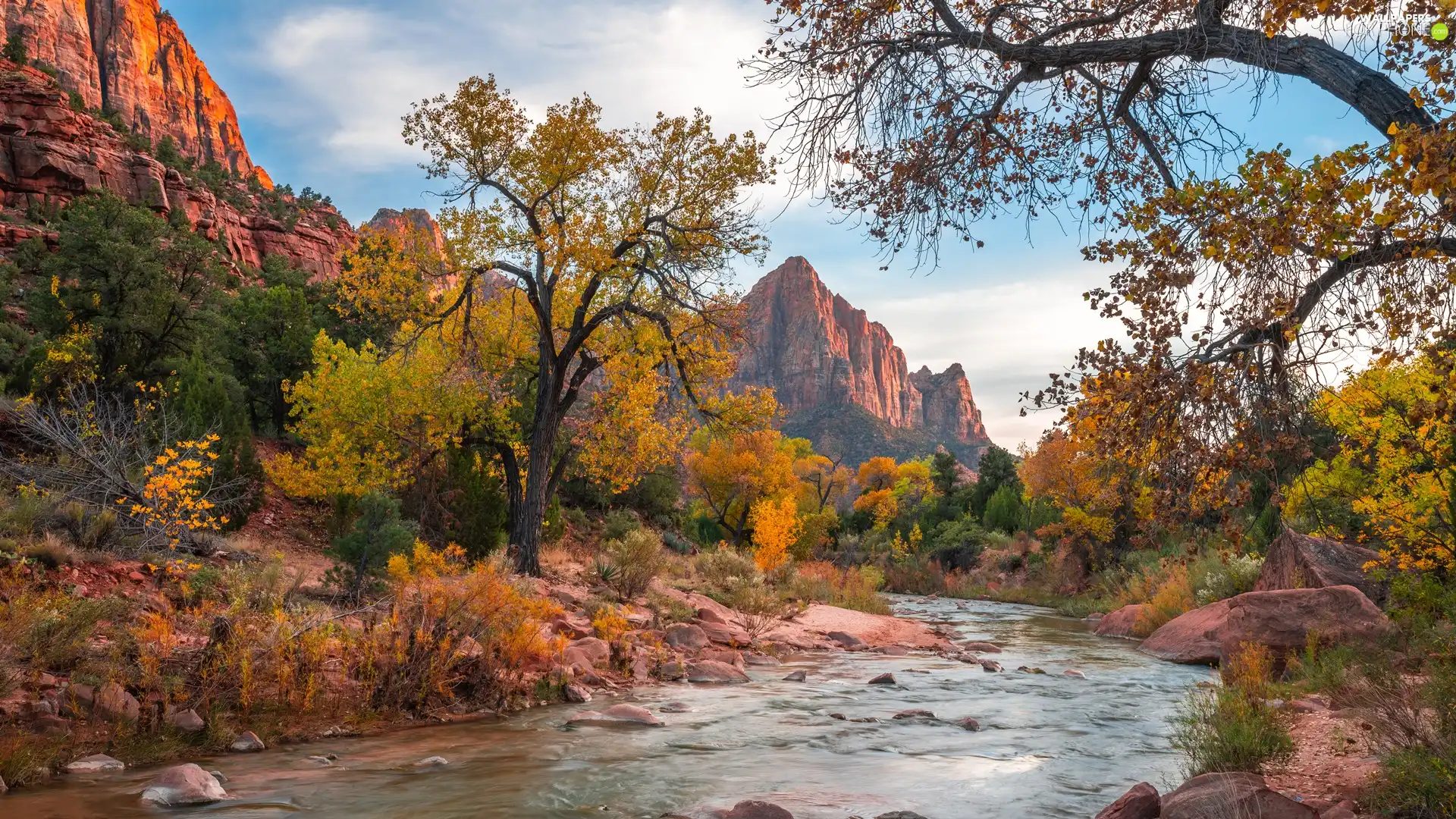 trees, viewes, The United States, Virgin River, Utah State, Watchman Mountains, Zion National Park, Stones