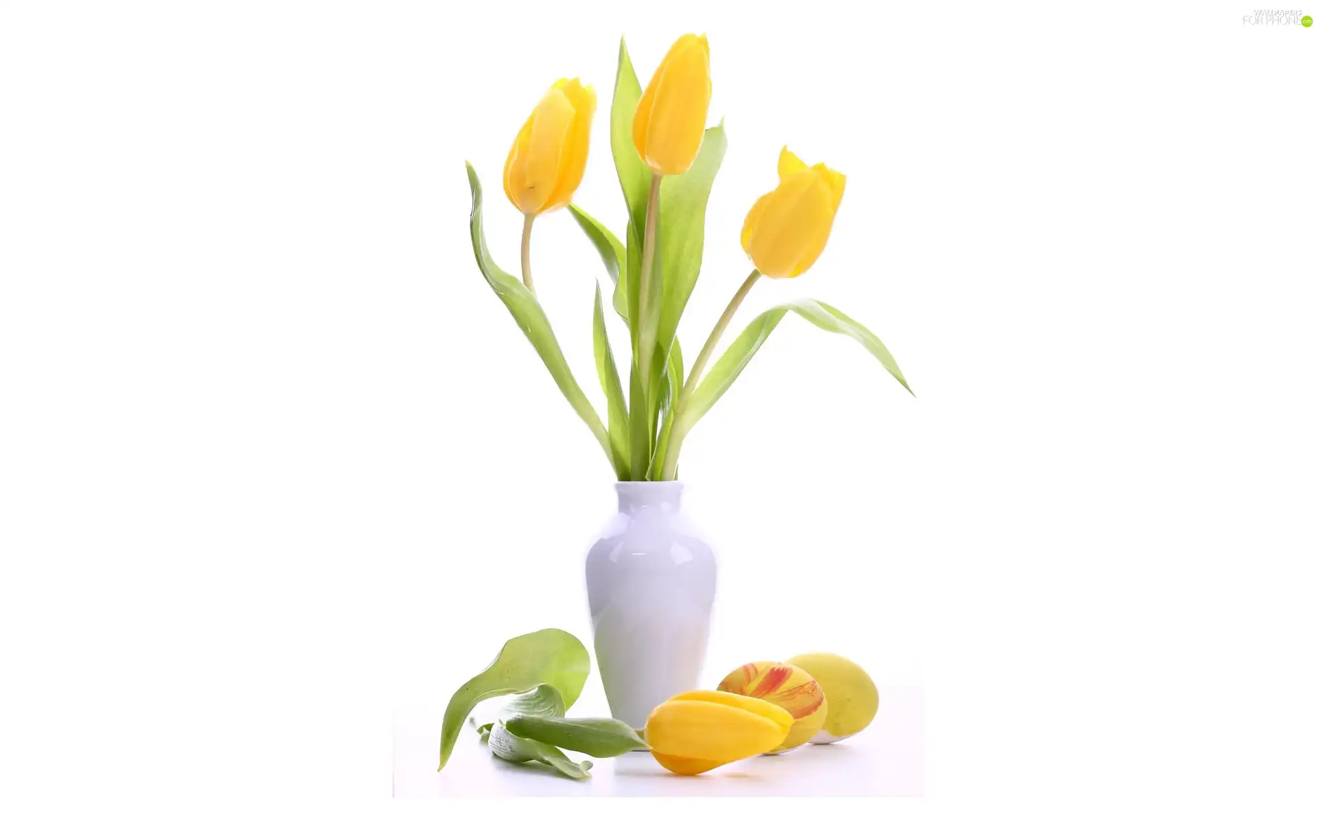 Yellow, White, vase, Tulips