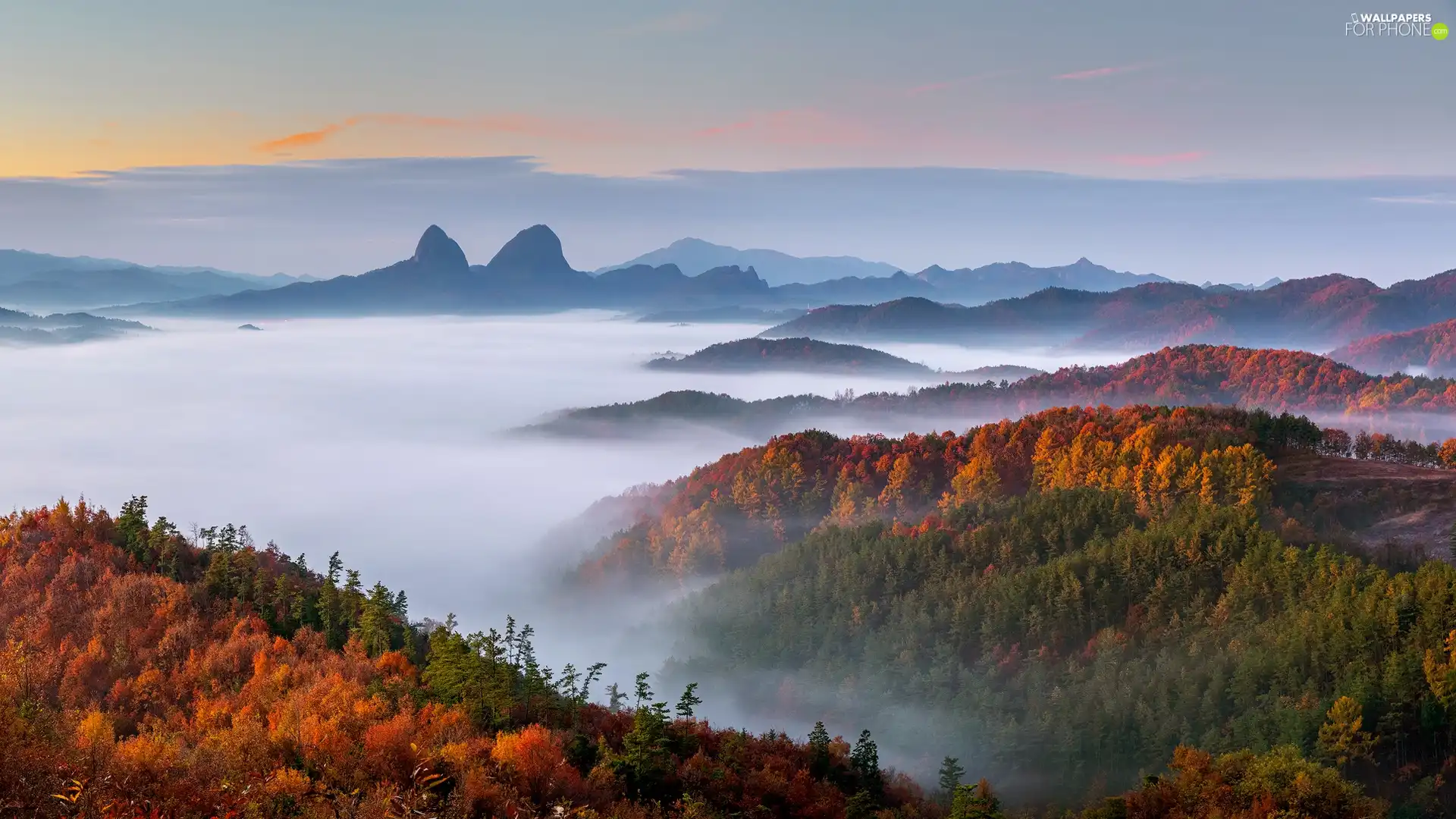 Fog, Mountains, trees, viewes, woods, autumn