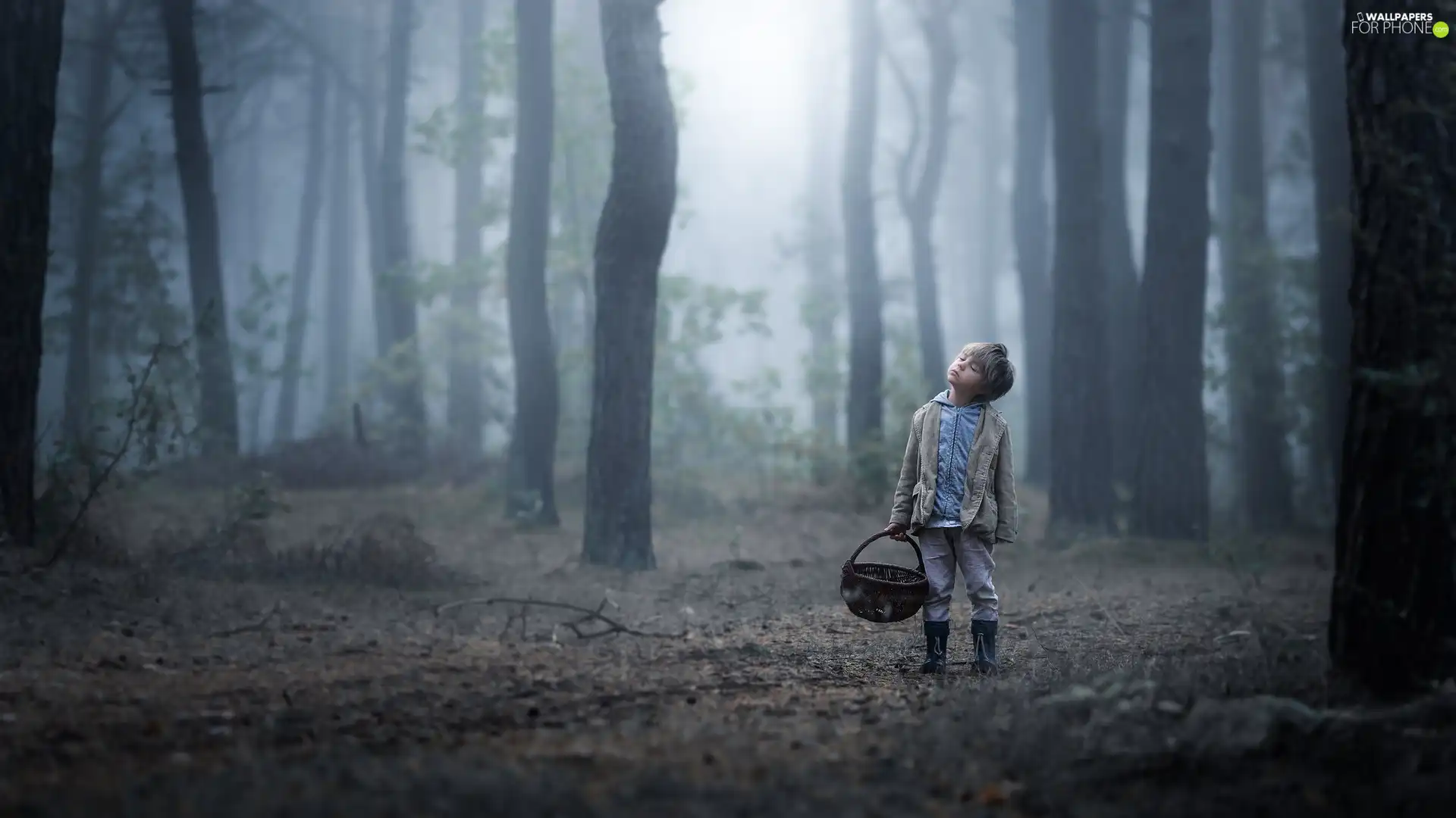 basket, Kid, trees, viewes, forest, boy