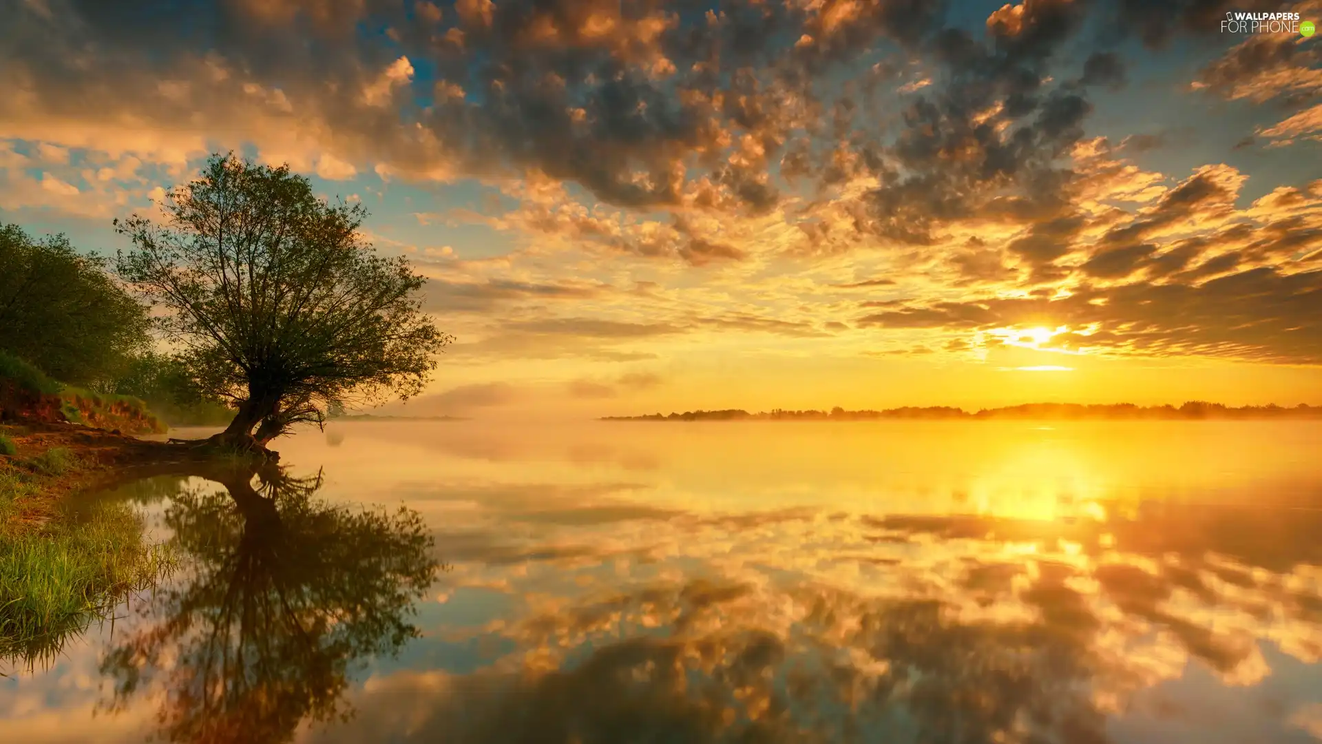 Sunrise, trees, clouds, viewes, River, Fog, reflection