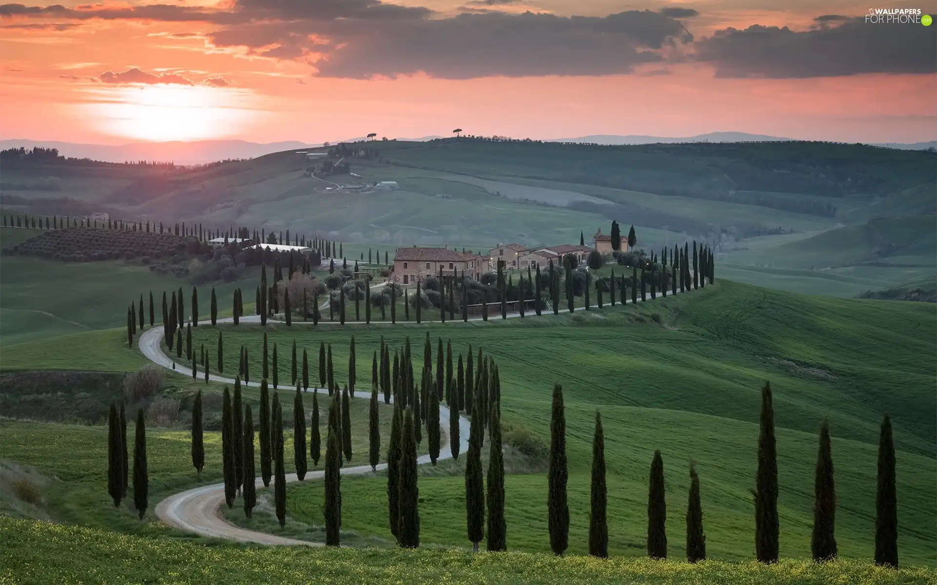Houses, Way, clouds, trees, cypresses, Italy, Tuscany, viewes