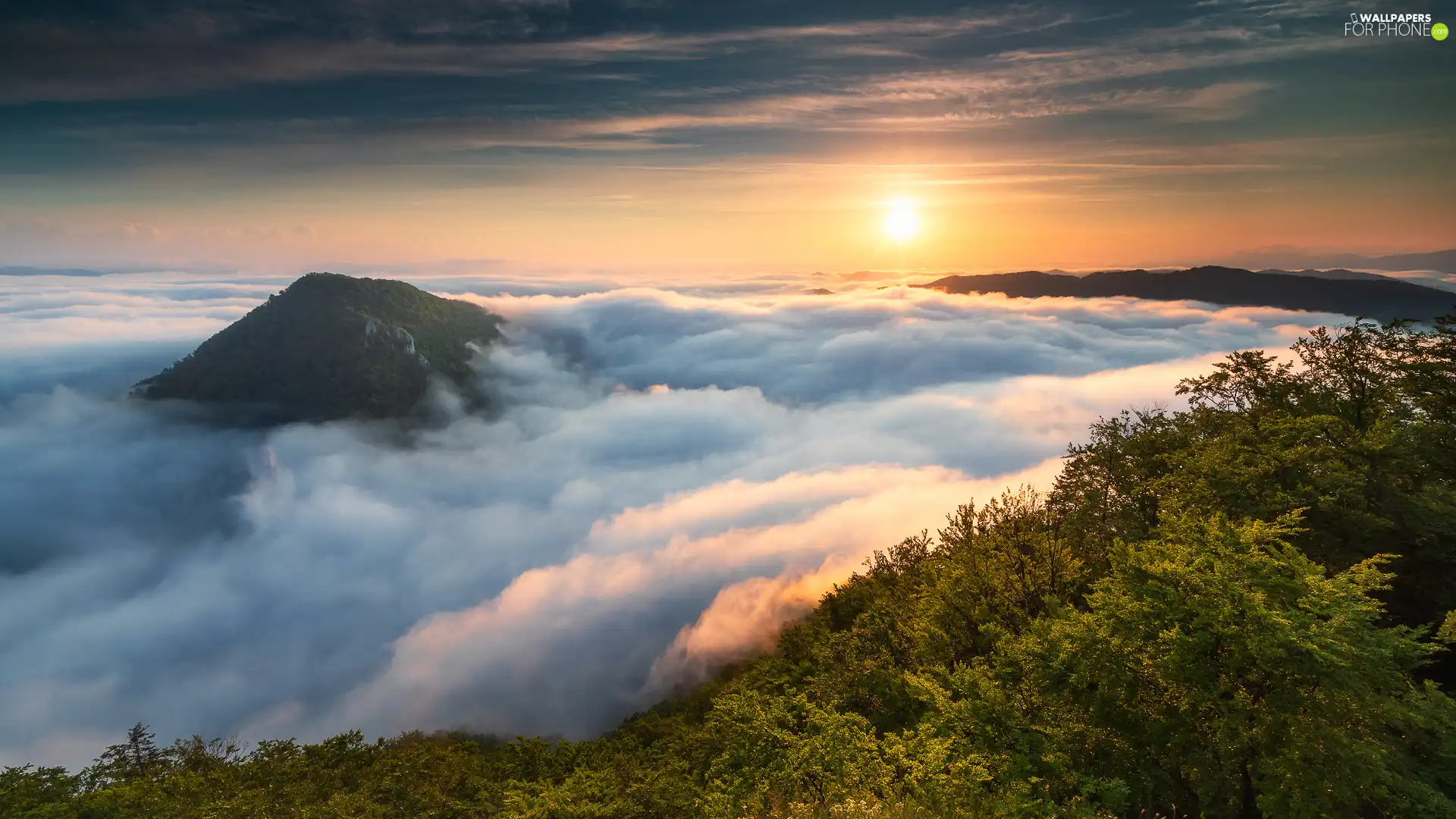 Sunrise, Mountains, trees, viewes, forest, Fog