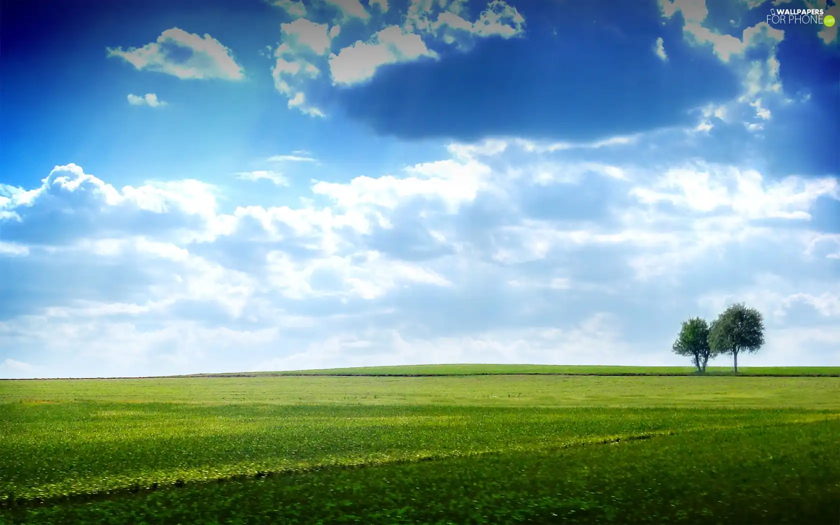 Meadow, trees, viewes, clouds