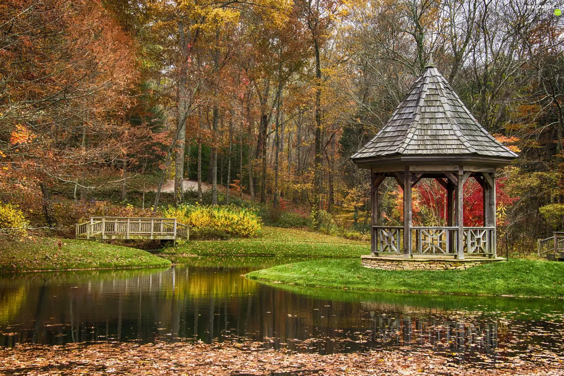 viewes, Leaf, autumn, arbour, bridges, trees, Park, Pond - car