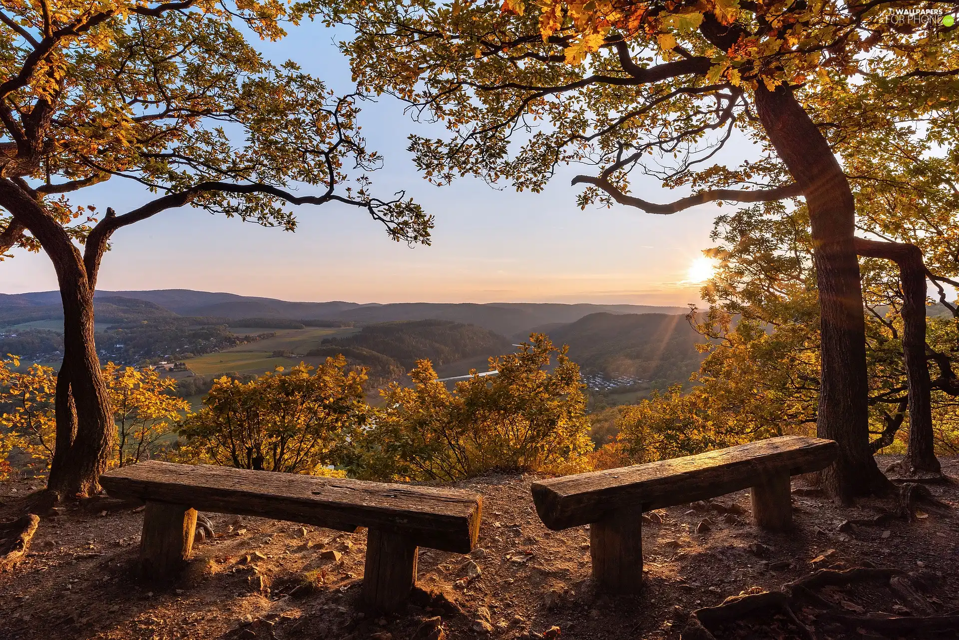 viewes, autumn, Hill, rays of the Sun, bench, trees
