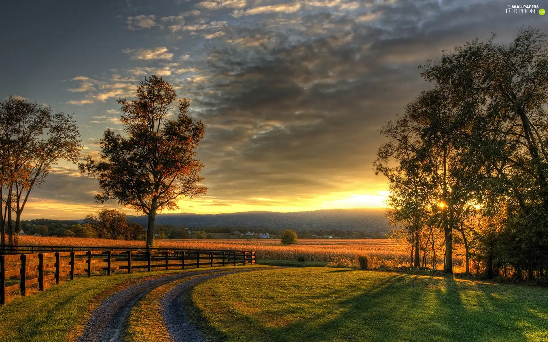 viewes, Great Sunsets, fence, trees, Way