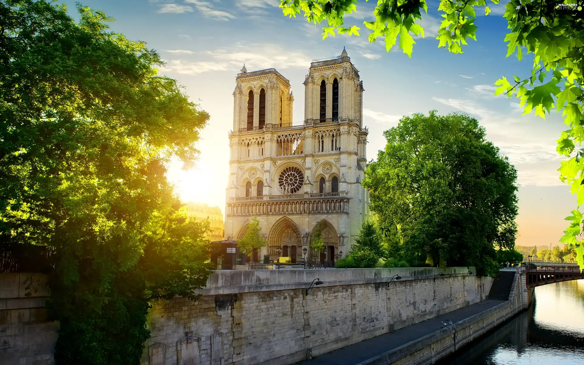 Paris, France, trees, viewes, Cathedral Notre Dame