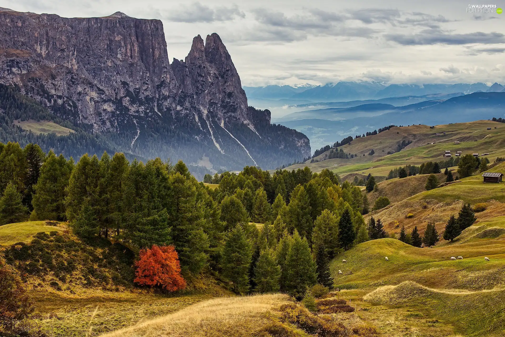 Dolomites, Italy, trees, viewes, Schlern Mount, Mountains