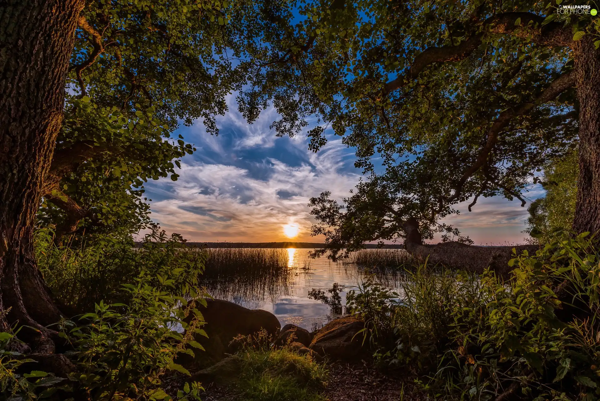 viewes, coast, Great Sunsets, Stones, Plants, trees, lake, grass