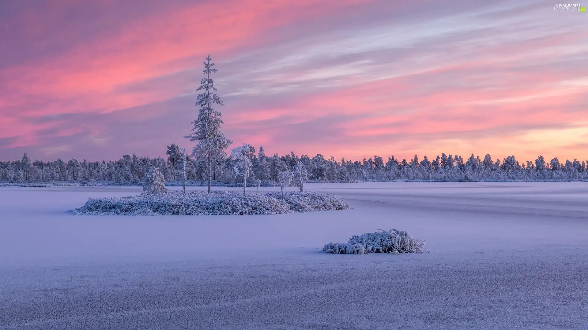 lake, Ladoga, winter, trees, clouds, Karelia, Russia, viewes
