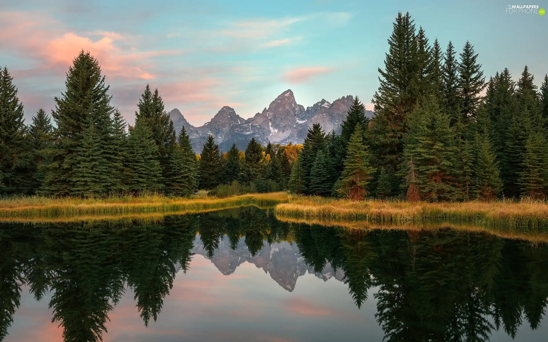 Snake River, Grand Teton National Park, Teton Range Mountains, forest, State of Wyoming, The United States, viewes, reflection, trees