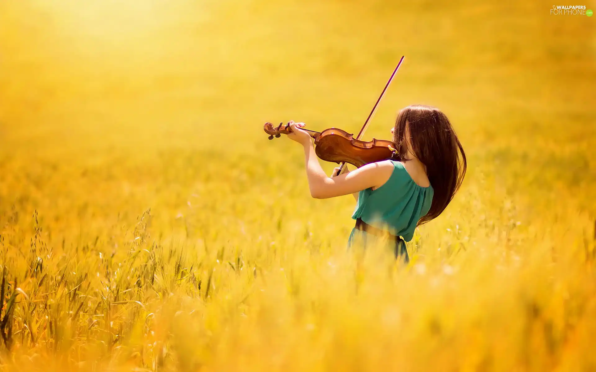 violin, Field, Women