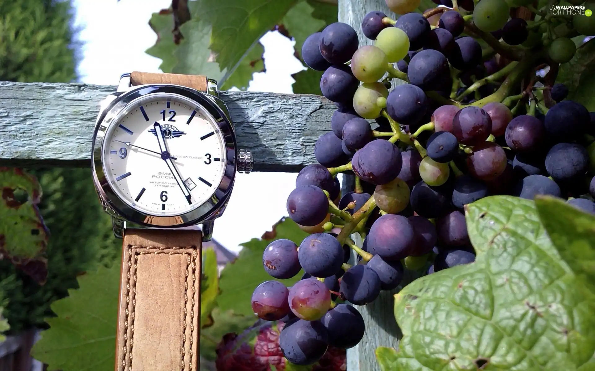 Wooden, Grapes, Watch, hand-rail