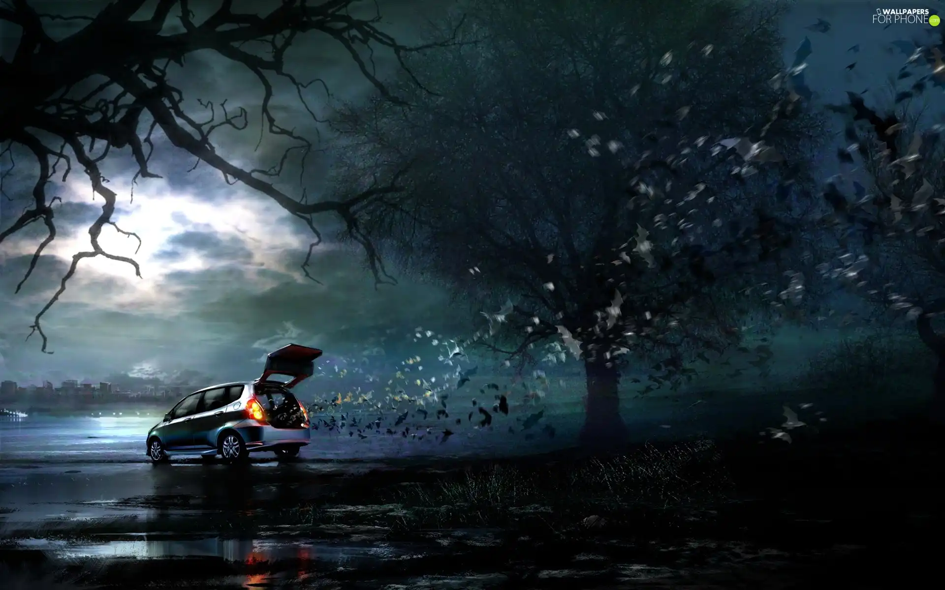 trees, Automobile, water, Sky, viewes, bats