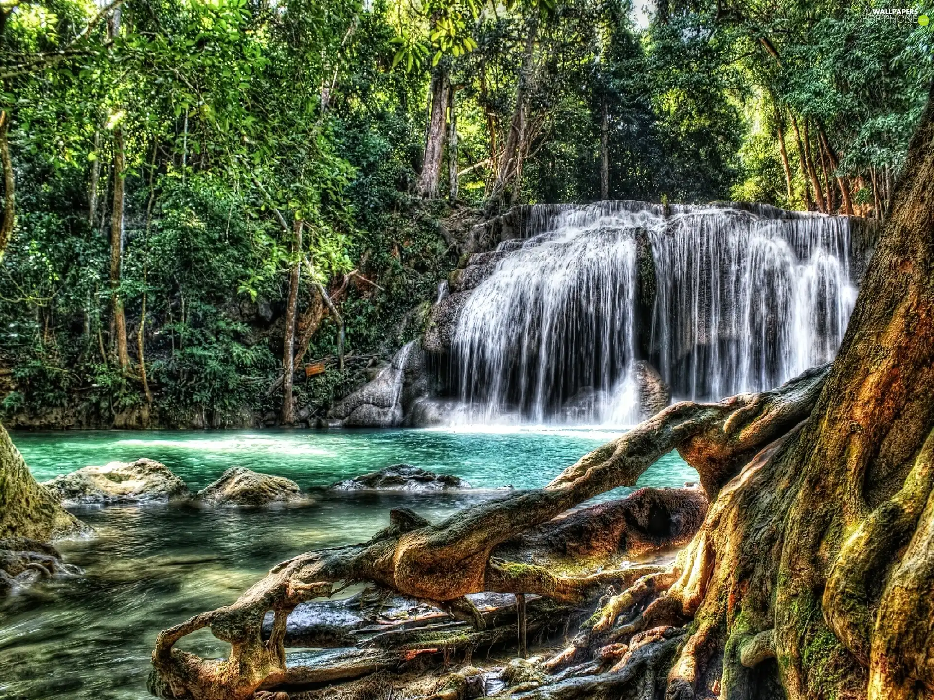 waterfall, forest, River