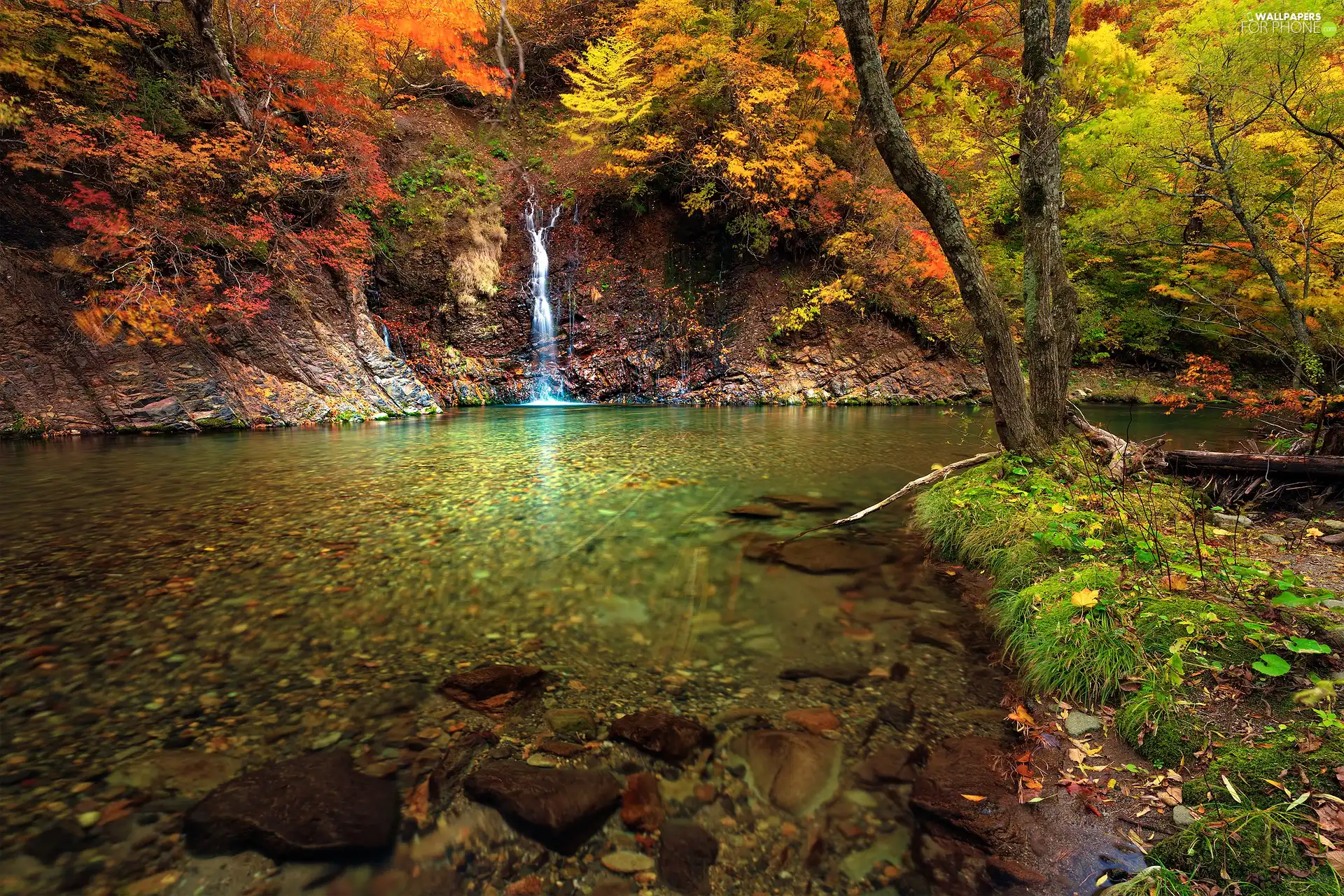 trees, autumn, small, waterfall, viewes, River
