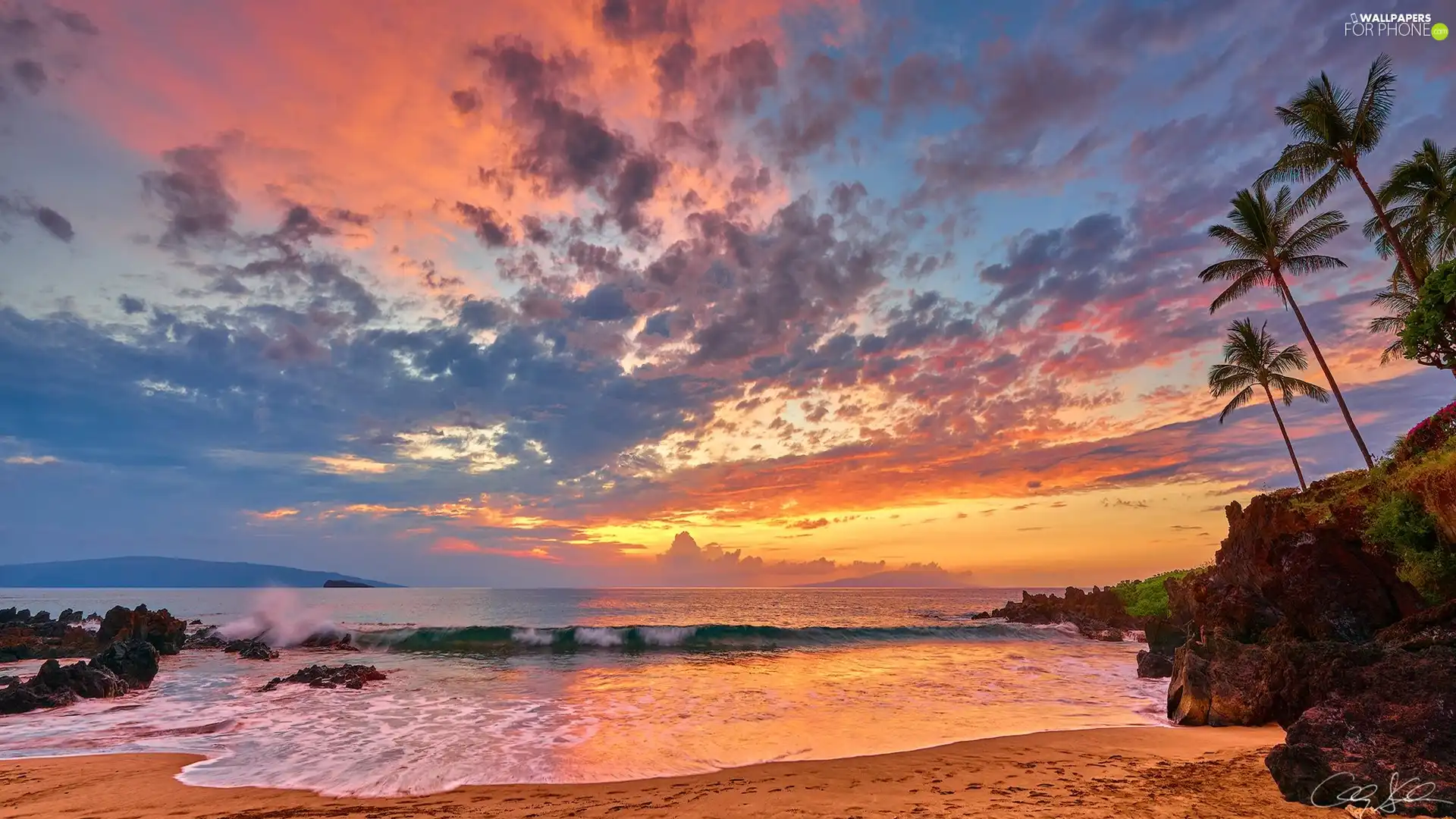 Waves, Aloha State Hawaje, Great Sunsets, clouds, Palms, sea