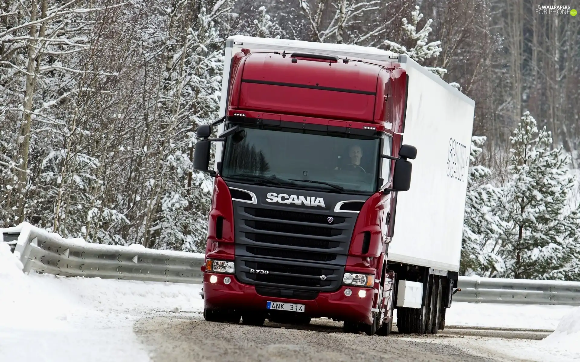 forest, Scania R730, Way