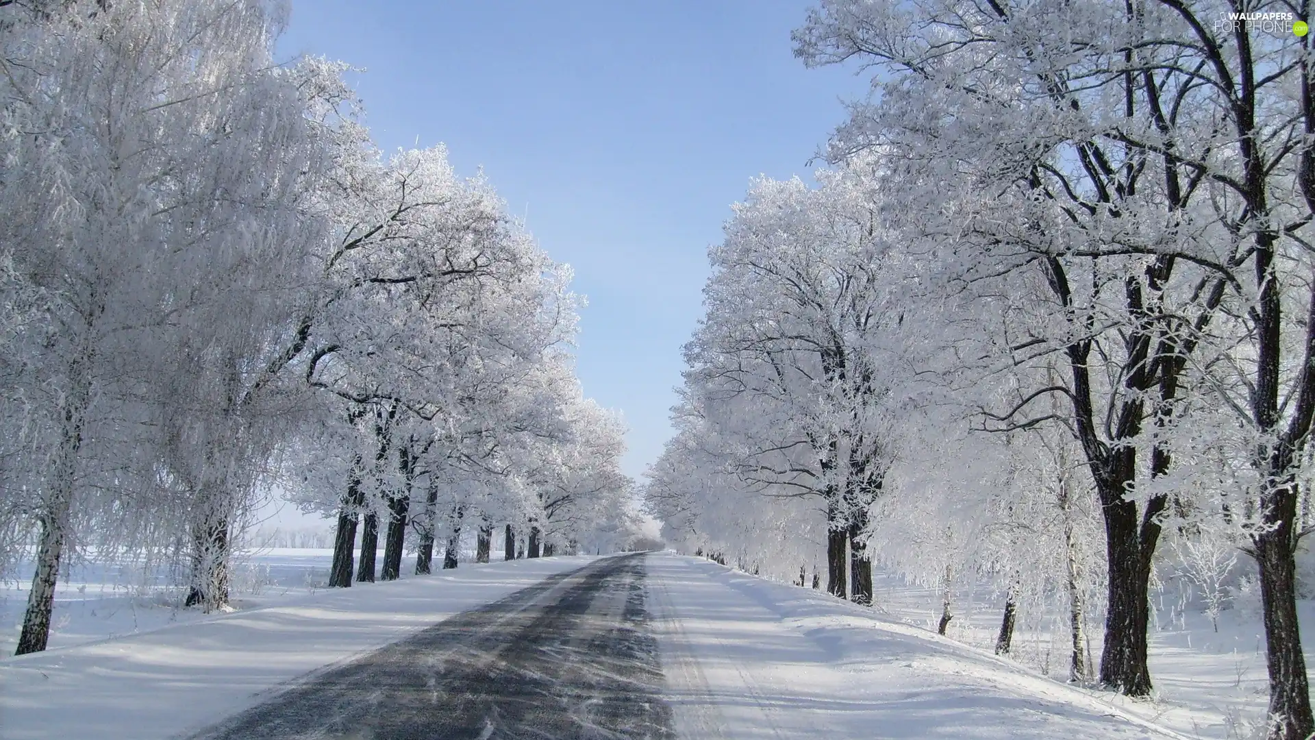 Way, winter, viewes, snow, trees