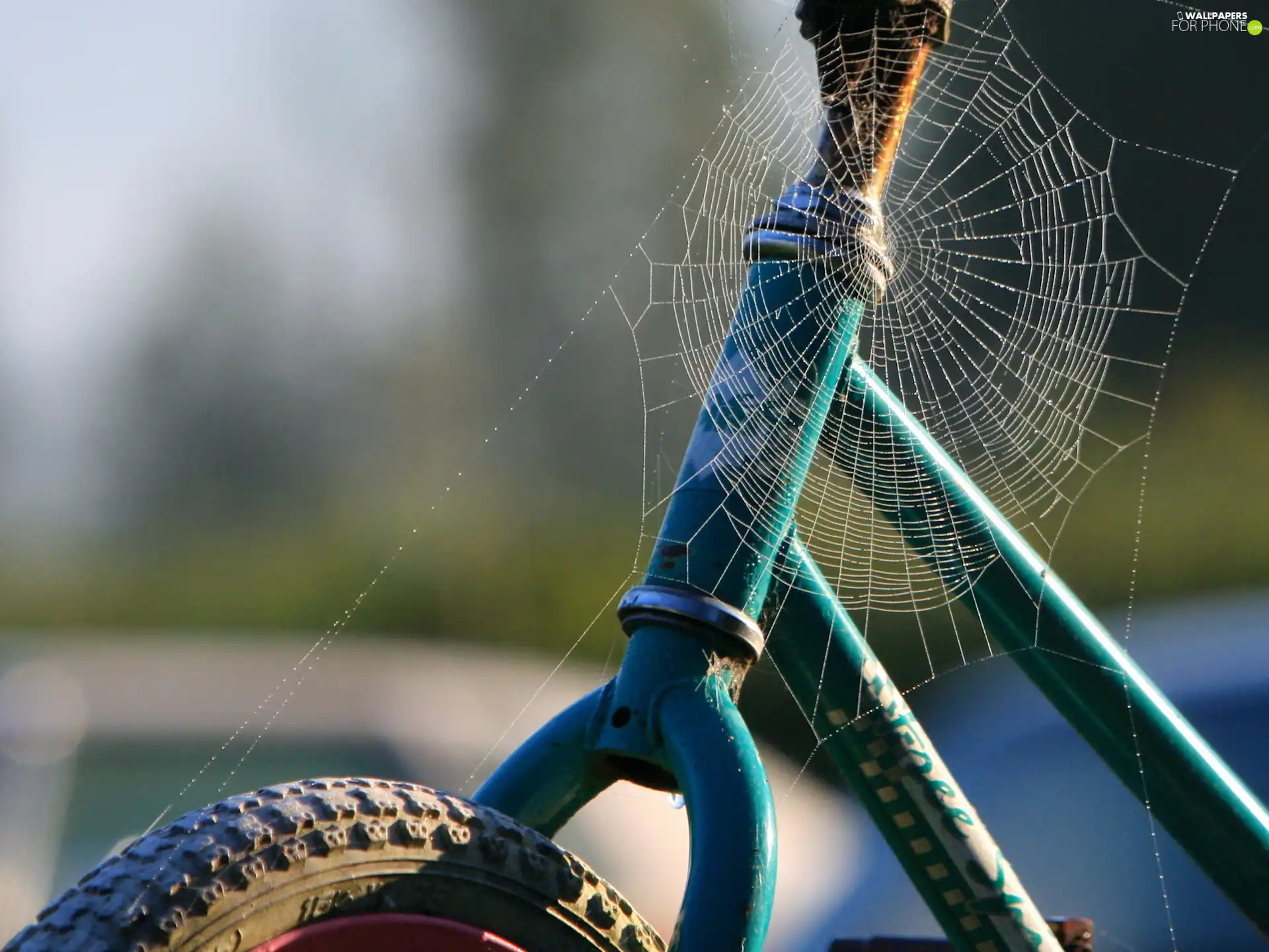 Bike, Web