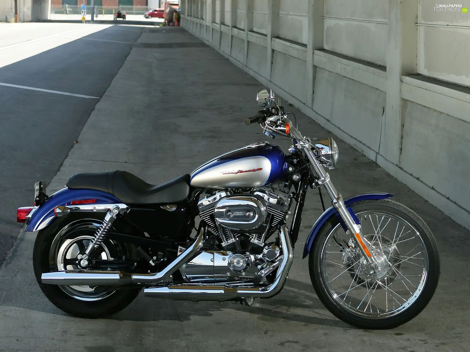 spoke, Harley Davidson XL1200C Sportst, wheel