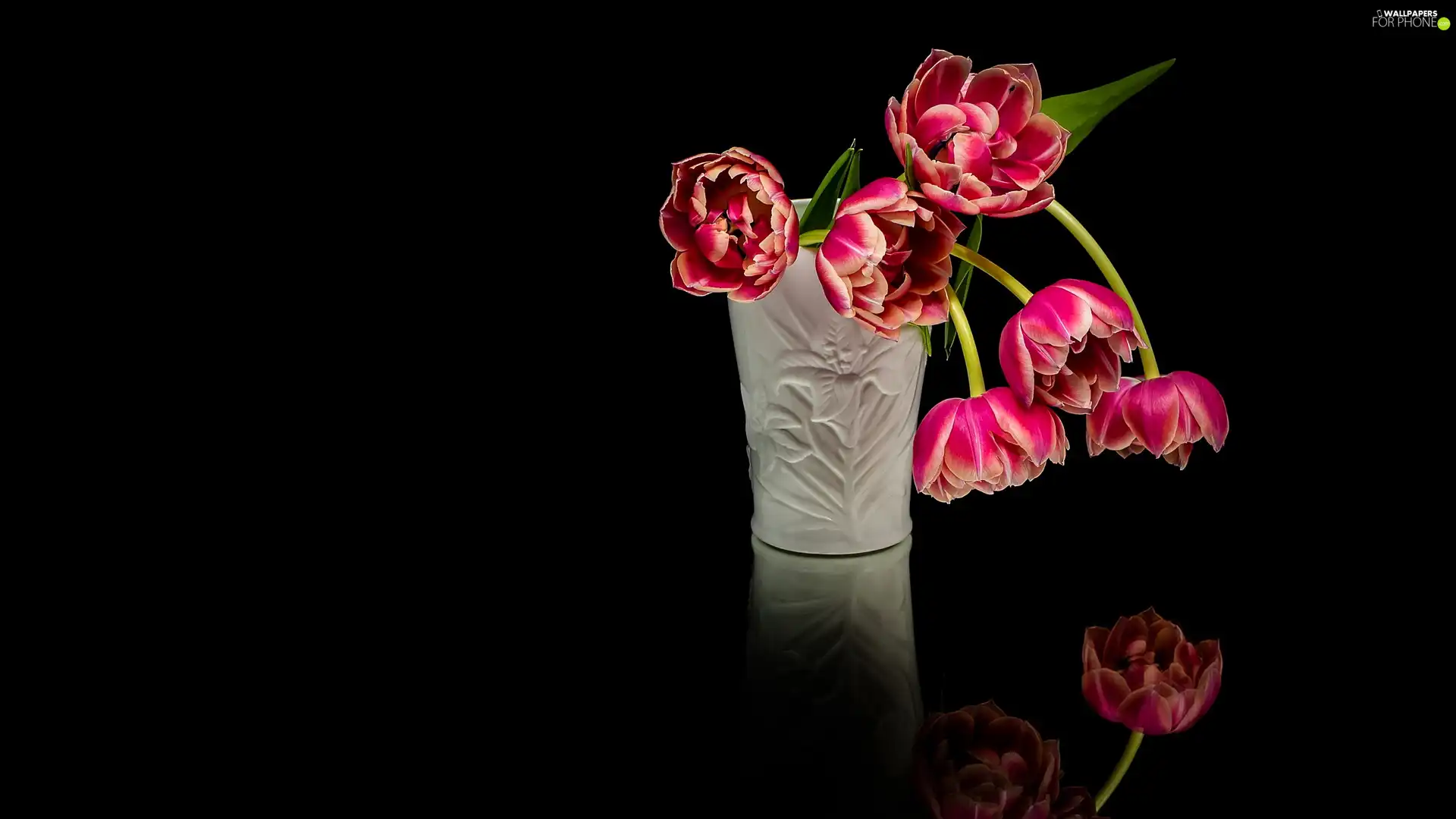 Vase, Tulips, background, White, bloom, Black, reflection