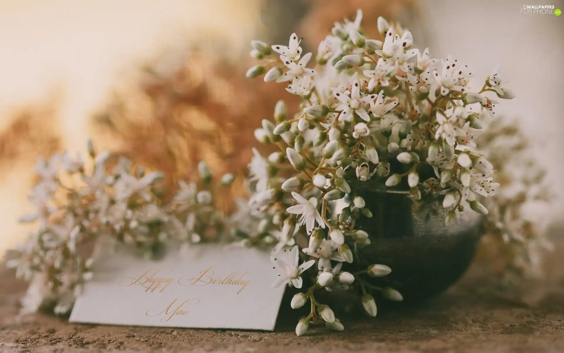 change, Vase, card, White, birthday, Flowers, Wishes