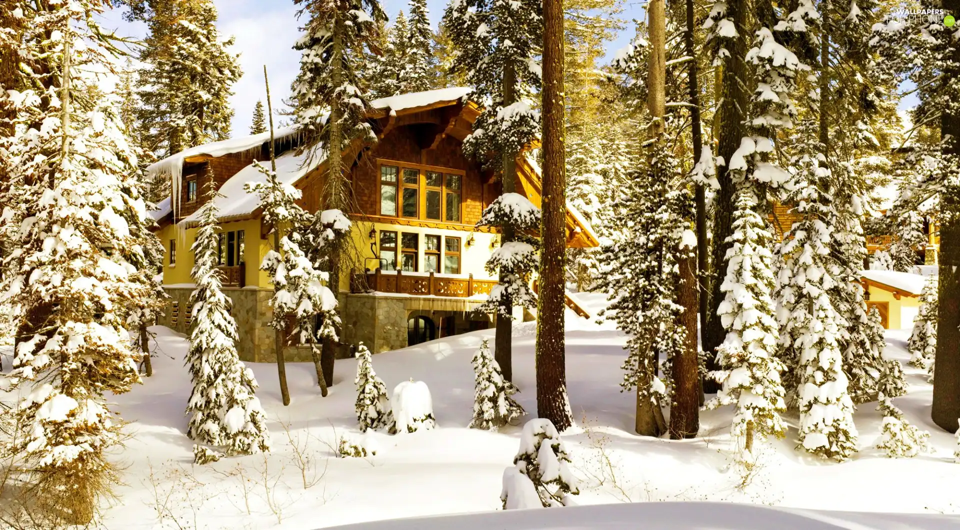 winter, house, forest