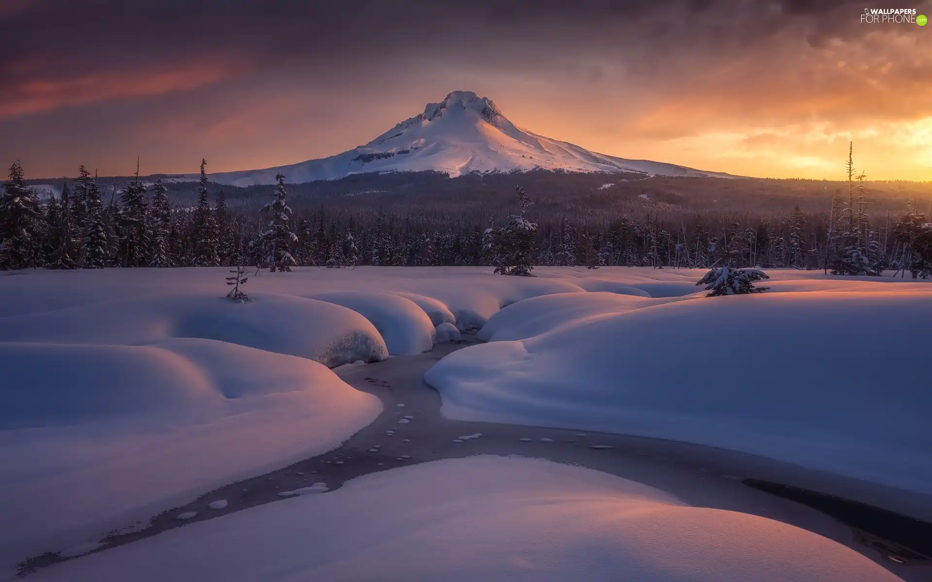 viewes, trees, River, Mount Hood, Stratovolcano, State of Oregon, Snowy, Sunrise, The United States, forest, mountains, winter