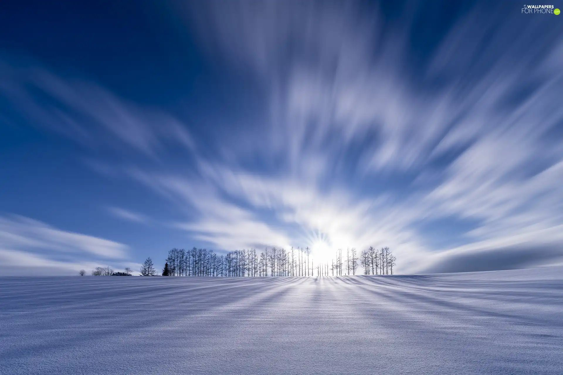 viewes, snowy, clouds, Field, fuzzy, trees, winter, rays of the Sun
