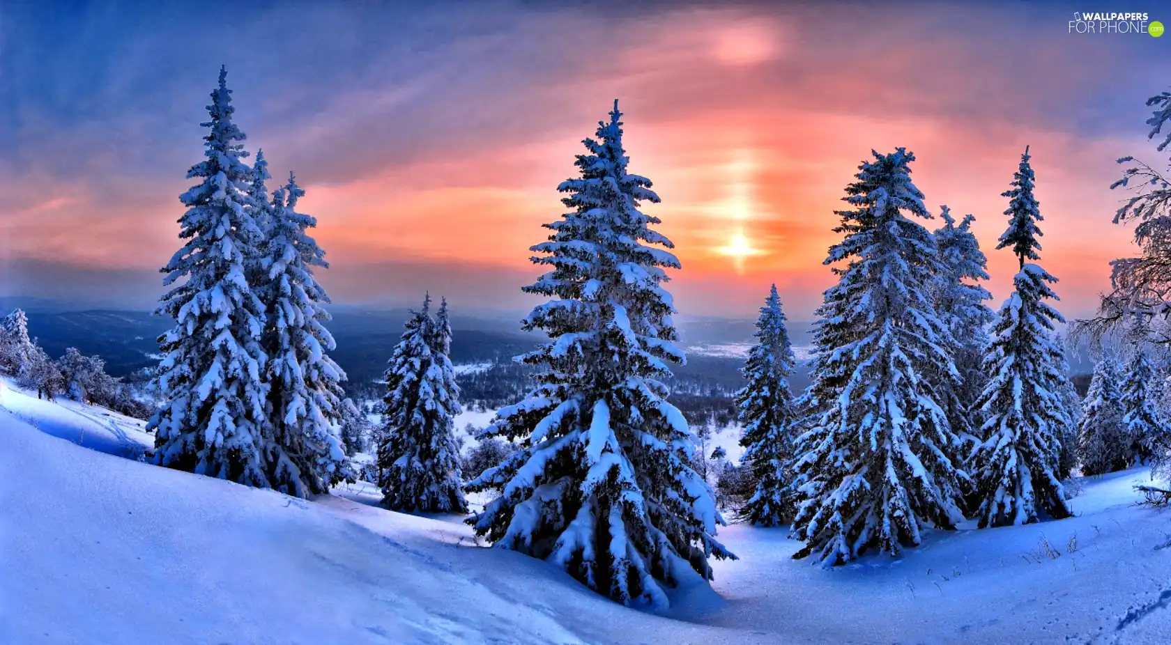 Great Sunsets, Christmas, winter