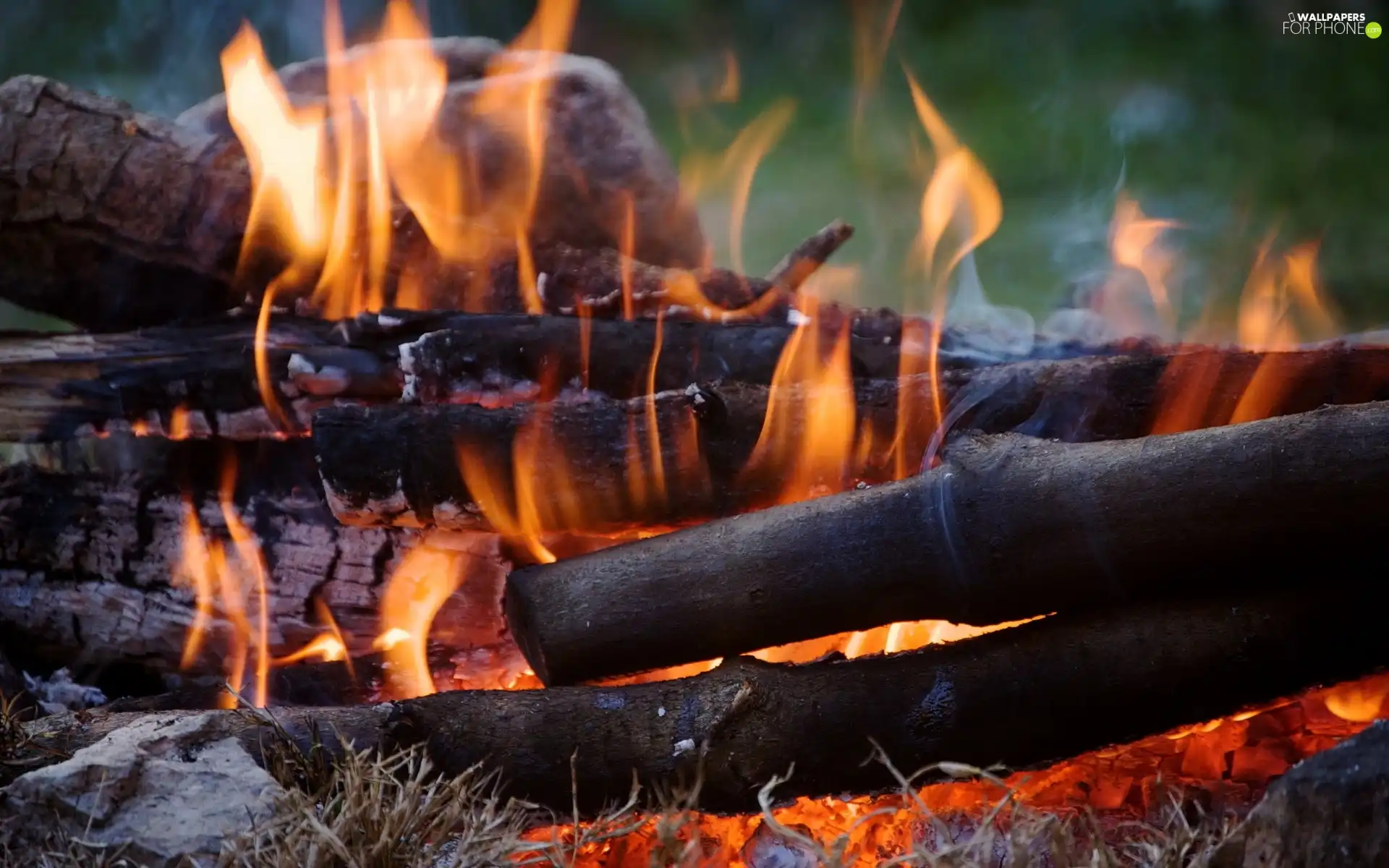 Wood, fire, burning