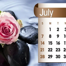 Calendar, july, 2013, rose