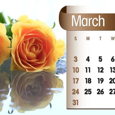 Calendar, march, 2013, roses