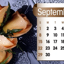 Calendar, september, 2013, roses