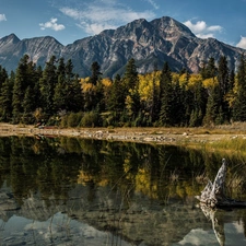 Alberta, Canada, forest, River, Mountains