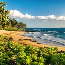 Ocean, green, Aloha State Hawaje, Beaches