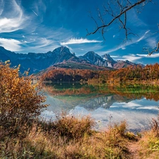 Alps, Almsee Lake, grass, autumn, viewes, Mountains, Austria, trees