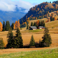 The Hills, Seiser Alm Meadow, field, trees, Trentino-Alto Adige, Italy, Houses, autumn, viewes